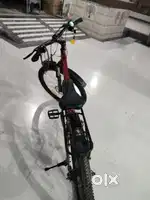 Electric cycle