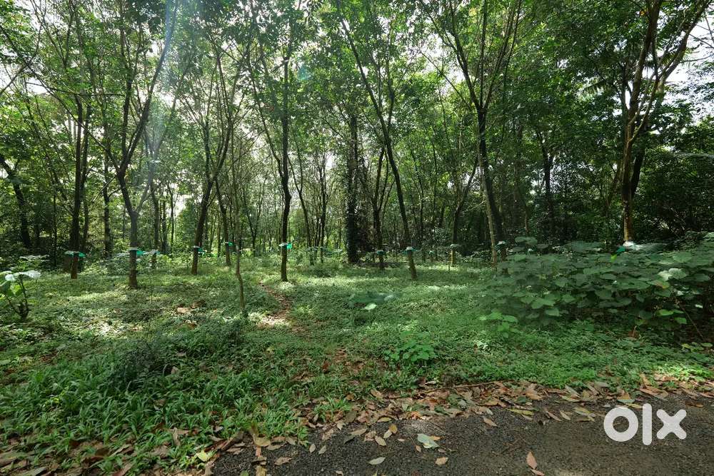 Plot for slale in chalakudi koratty