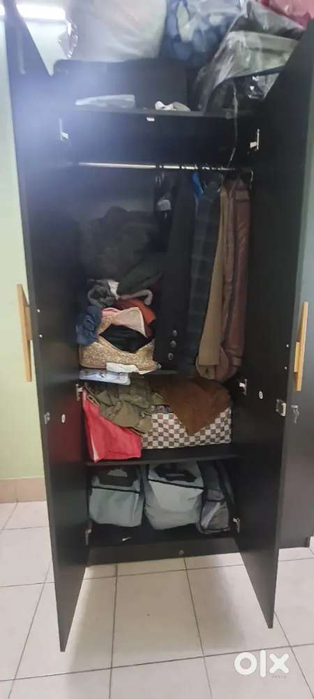 Detachable Almirah Engineering Wood, 1year old