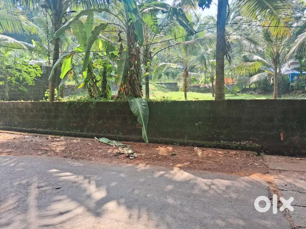 6/5/11 cent like wide road facing house plot near parambil bazar