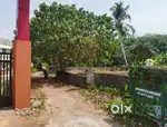 10.8  cent plot (land) for sale at mulanthuruthy