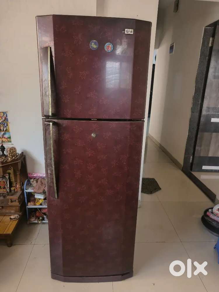 L.G  Fridge
