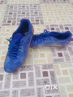 My new stards