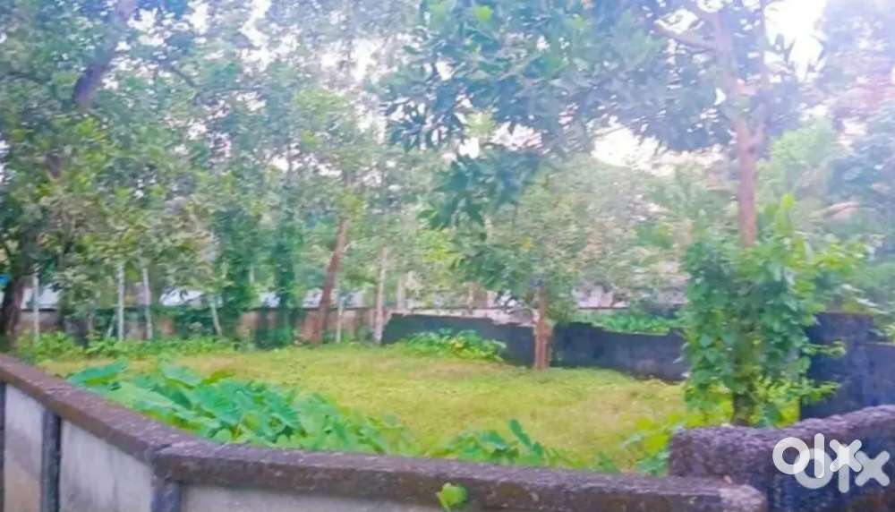 9 cent plot railway station1 km കിഴക്ക് 40 ജംഗ്ഷൻ സമീപം