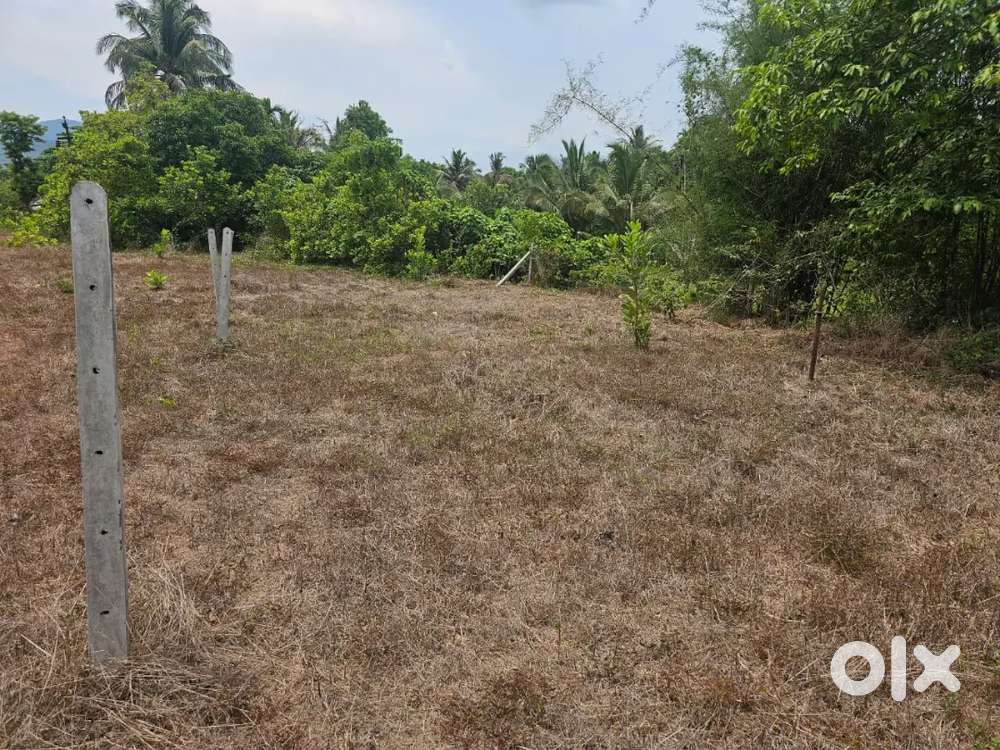 Clear title property