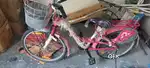 Avon Cycle