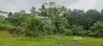 20 CENT LAND FOR SALE AT INFOPARK PHASETO