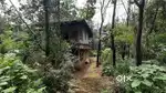 1.25 acre land with house