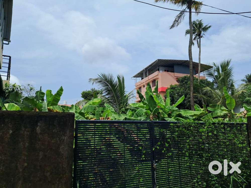 6Cents of Residential Plot in Poneth Road, Kaloor