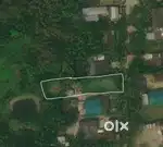 Land for Sale – 1 Bigha 7 Lessa in Mughkuchi Gaon, Nalbari