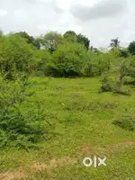 10000 sq ft plot at motipur