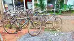 Kross company 9 bicycles @30k