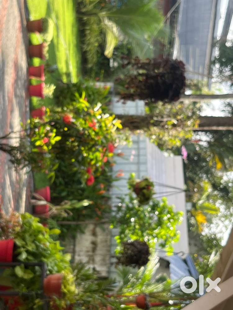 Need sales representative for lubes marketing kottayam district