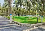 Best Investment Farmland For Sale in Nachipalayam