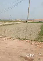 1Bigha miyadi patta land single pattadar road side