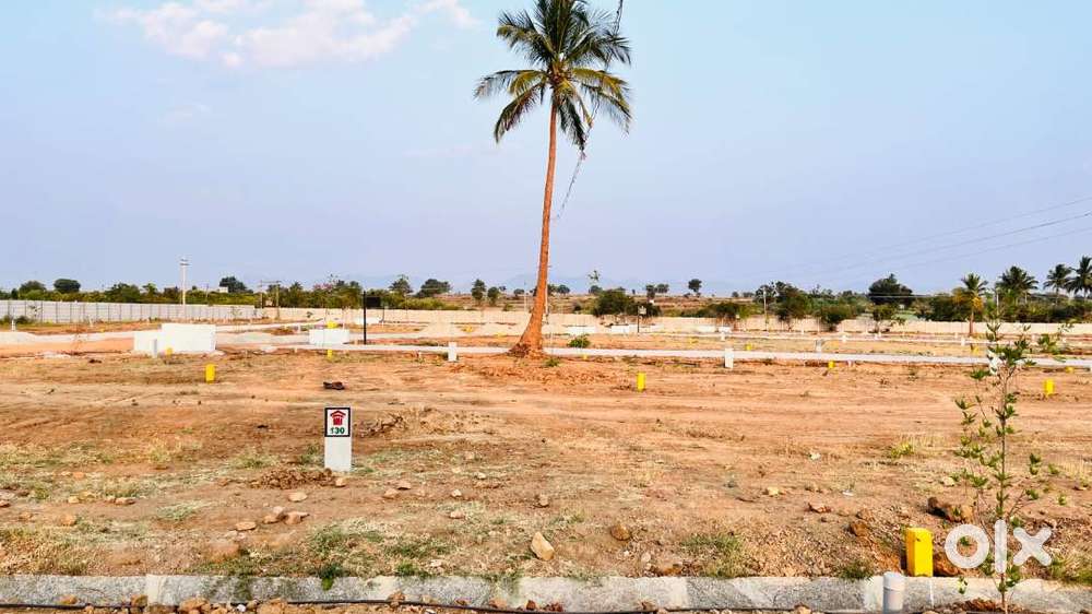 Own Your Plot at Sunrise Project – Book Today!