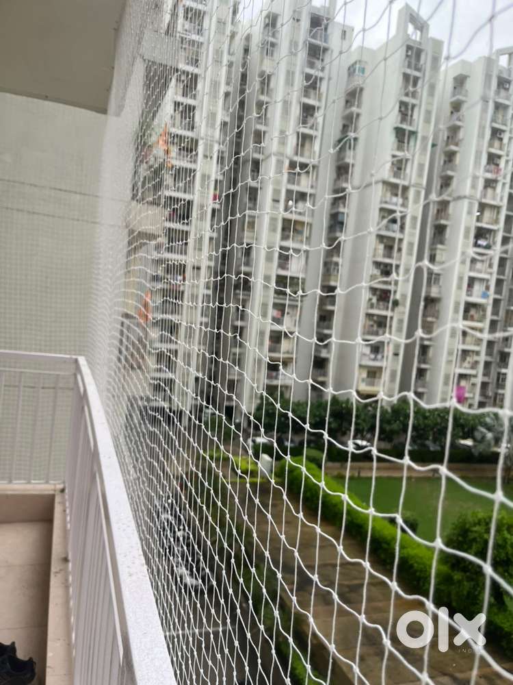 Installation work of Bird Netting and Bird Spikes. And office work.