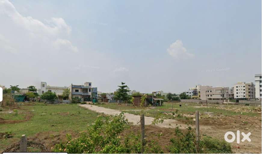 M.M Layout