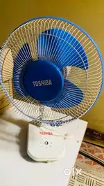 Wall mount fan