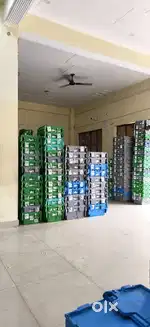 Delivery Boy