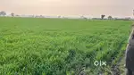 4 Beegha Sajanmau highway pe