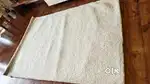Carpet  ivory