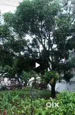 Plot for sale in Rishikesh Shyampur Uttarakhand