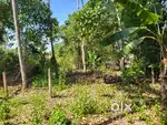 3 cent residential plot for sale, 4 lakh per cent