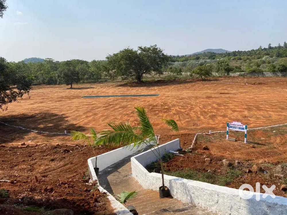 Farm land offer per sqft 500 only