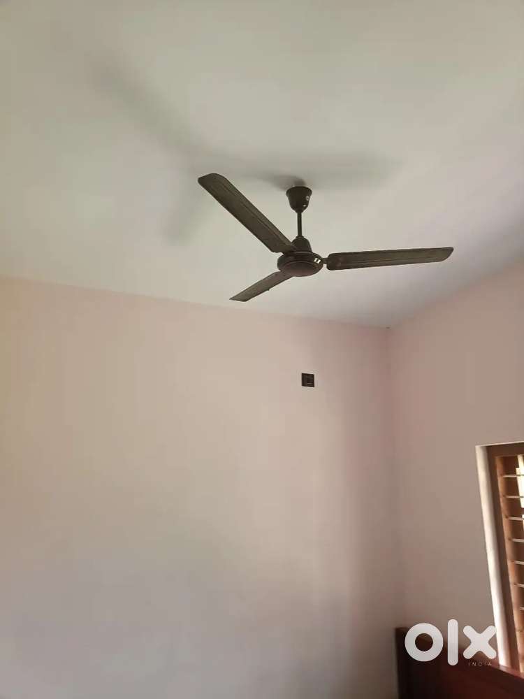 Good House first Floor for Rent 3 Bedroom Bath Attached and Kitchen