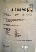 Looking for job