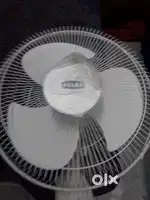 Polar wall Fan