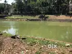 7 cent, സ്ഥാലം അർജെന്റ് sale