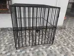 BIG IRON CAGE