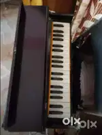 Brand new harmonium.