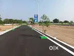TGP golden city
