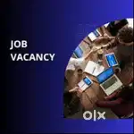 Sales Associate