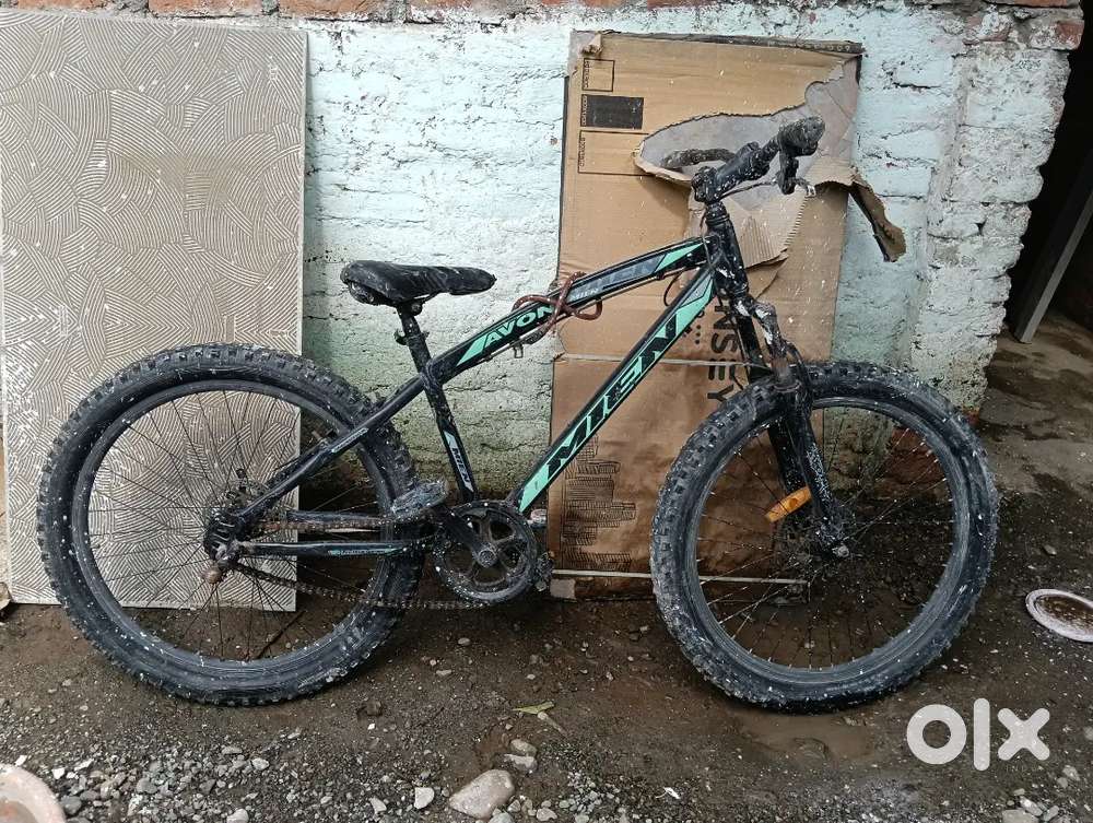 Mien cycle