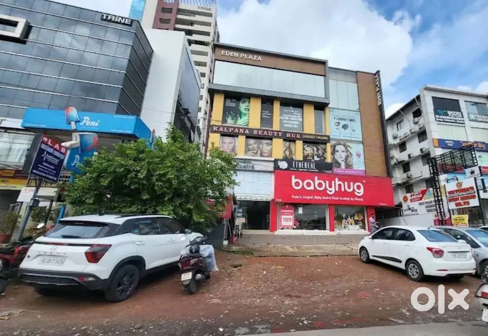 Customer relationship officer - Babyhug (First Cry)