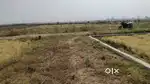 want to sell my plot