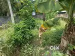 Plot for sale