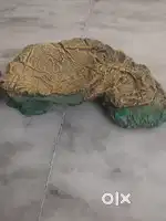 Show Piece