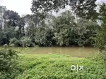 8 ACRE RIVER FRONTAGE RESORT LAND