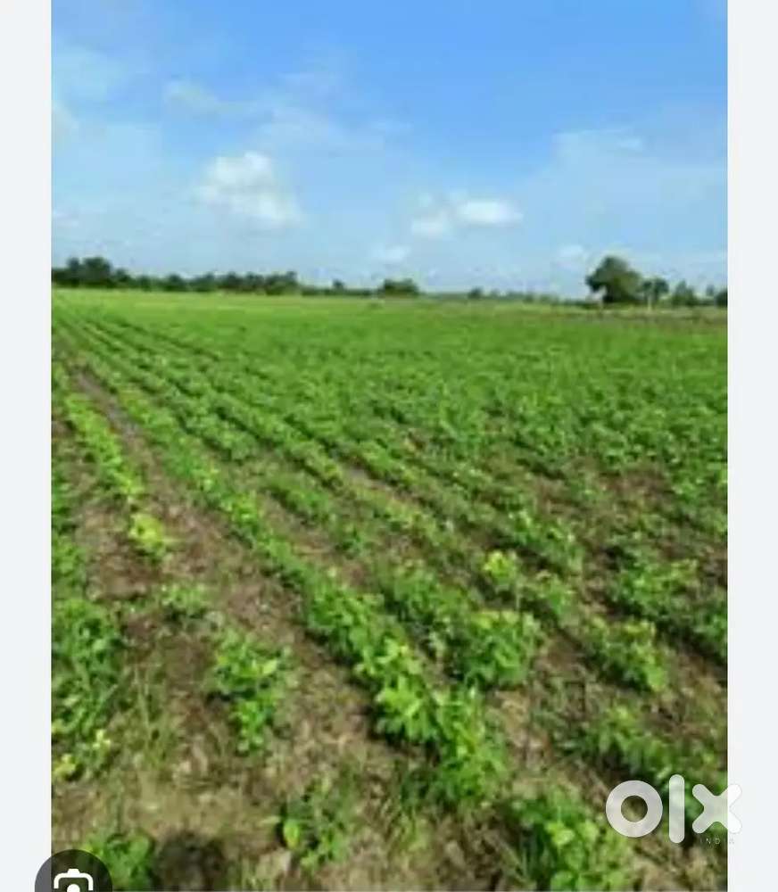 Rewari /Mohindergarh all type property available for agriculture