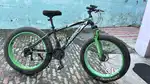 Fat bike for sale