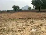 Land for sale in chinna palakalur main road
