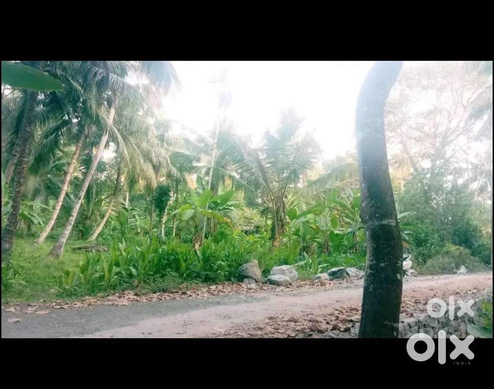 This place is 55 cents..350000 per Cent.