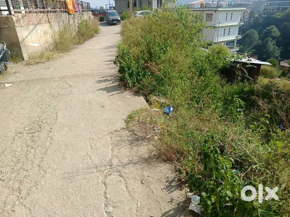 7 biswa Drive in plot Near old dc office/Sunnyside