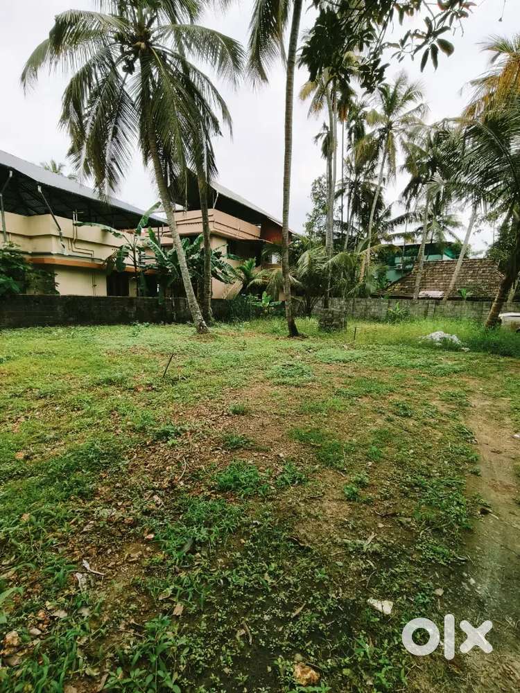 മെട്രോ സ്റ്റേഷൻ അടുത്ത് 3 cent house plot near tripunithura