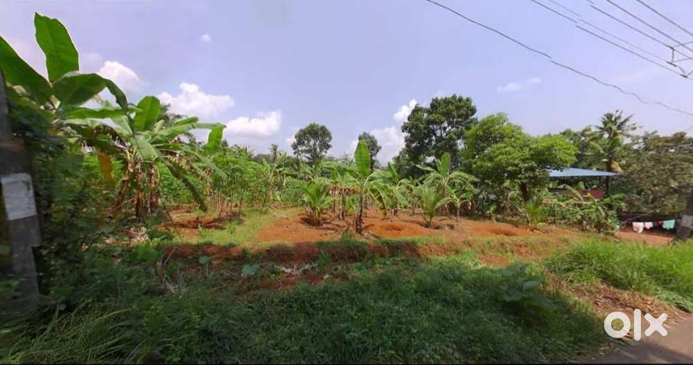 Land sale In kollam, Kerala